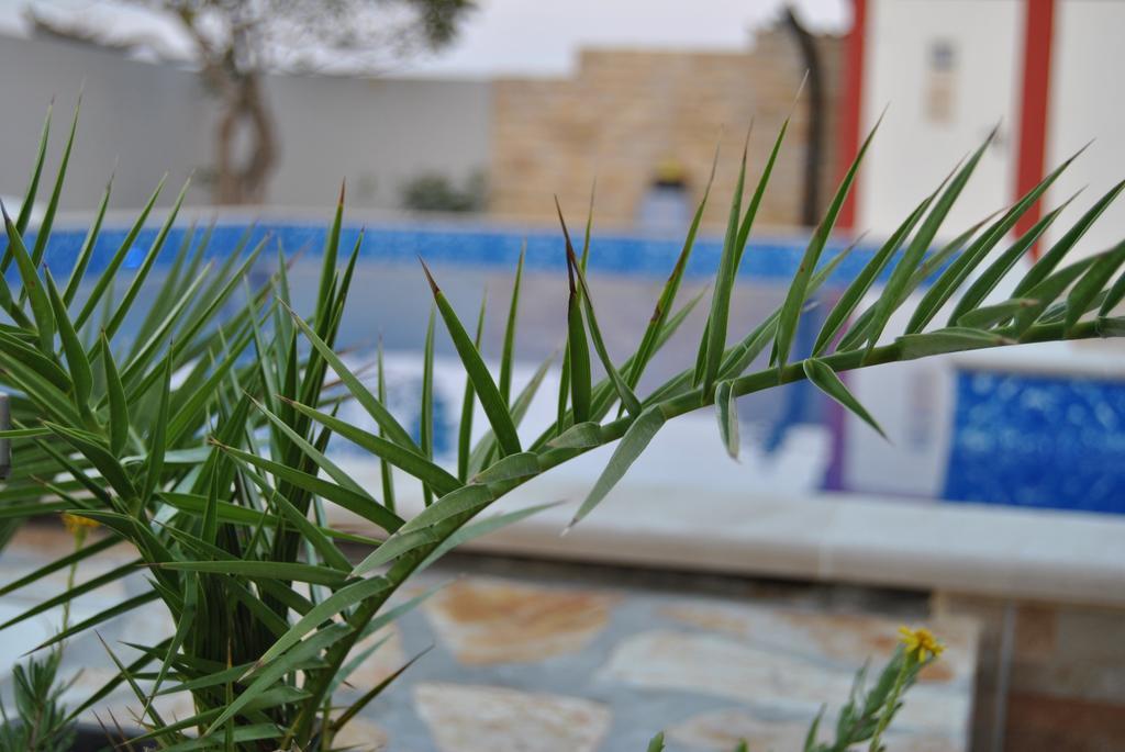 Apartamento House With Swimming Pool Blue Diamond Povljana Exterior foto
